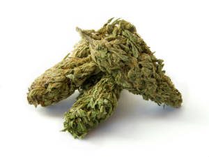 Possession of Marijuana Ticket - H&S § 11357(b)